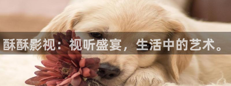 光棍影院啪啪啪